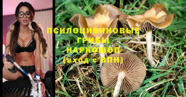 герыч Каменногорск